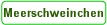 Meerschweinchen