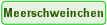 Meerschweinchen