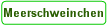 Meerschweinchen